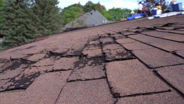 Best Roofing for New Construction  in Belleville, KS