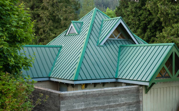 Best Solar Panel Roofing Installation  in Belleville, KS