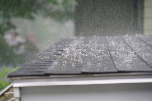 Best Chimney Flashing Repair  in Belleville, KS