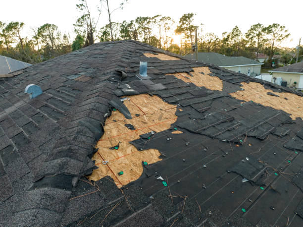Best Roof Ventilation Installation  in Belleville, KS